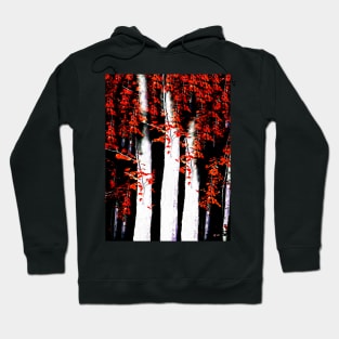 Birch Forest Hoodie